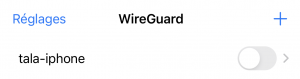 Wireguard-tunnel-display.png